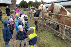 IMG_20201006_103131_HDR