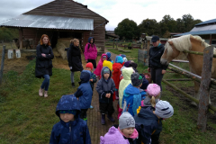 IMG_20201006_103215_HDR