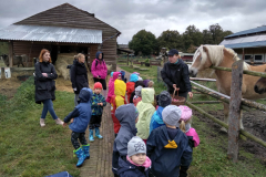 IMG_20201006_103220_HDR