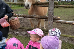 IMG_20201006_103257_HDR