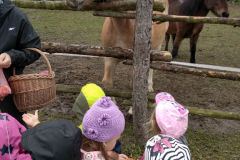 IMG_20201006_103306_HDR