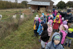 IMG_20201006_103333_HDR