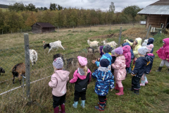 IMG_20201006_103346_HDR