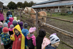 IMG_20201006_103648_HDR