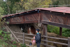 IMG_20201006_103906_HDR