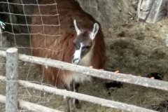 IMG_20201006_103934_HDR