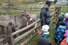 IMG_20201006_104235_HDR