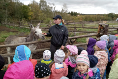 IMG_20201006_104255_HDR