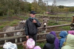 IMG_20201006_104316_HDR