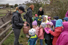 IMG_20201006_104351_HDR