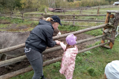 IMG_20201006_104414_HDR