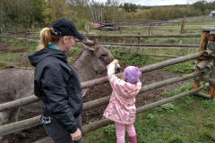 IMG_20201006_104423_HDR