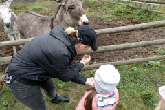 IMG_20201006_104440_HDR