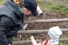 IMG_20201006_104452_HDR