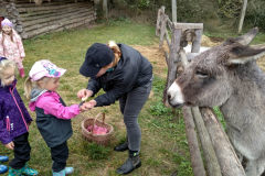 IMG_20201006_104511_HDR