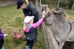 IMG_20201006_104516_HDR