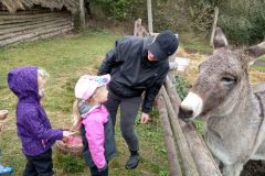 IMG_20201006_104519_HDR