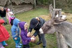 IMG_20201006_104528_HDR