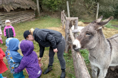 IMG_20201006_104532_HDR