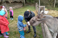 IMG_20201006_104540_HDR