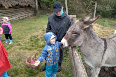 IMG_20201006_104545_HDR