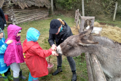 IMG_20201006_104556_HDR