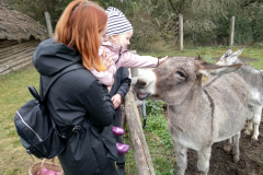 IMG_20201006_104639_HDR