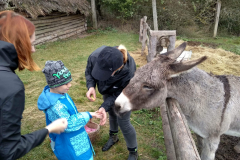 IMG_20201006_104647_HDR