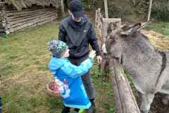 IMG_20201006_104653_HDR