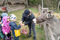 IMG_20201006_104701_HDR