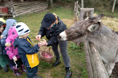 IMG_20201006_104708_HDR