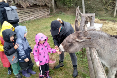 IMG_20201006_104727_HDR