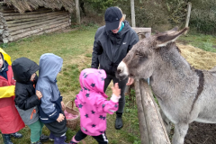 IMG_20201006_104733_HDR