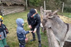 IMG_20201006_104746_HDR