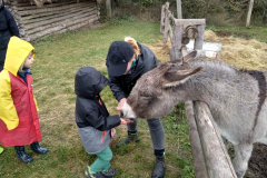 IMG_20201006_104757_HDR