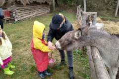 IMG_20201006_104811_HDR