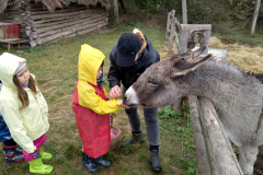 IMG_20201006_104817_HDR