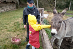 IMG_20201006_104822_HDR