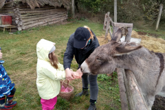 IMG_20201006_104831_HDR