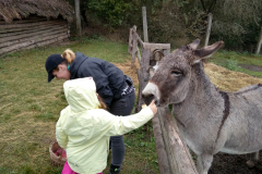 IMG_20201006_104835_HDR