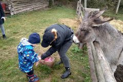 IMG_20201006_104841_HDR