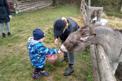 IMG_20201006_104846_HDR