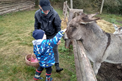 IMG_20201006_104850_HDR