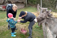 IMG_20201006_104855_HDR