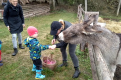 IMG_20201006_104859_HDR