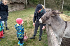 IMG_20201006_104906_HDR