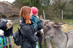 IMG_20201006_104916_HDR