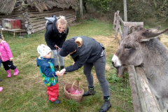 IMG_20201006_104929_HDR