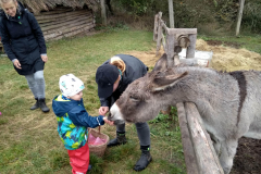 IMG_20201006_104933_HDR