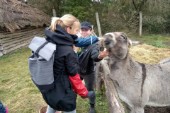 IMG_20201006_104940_HDR